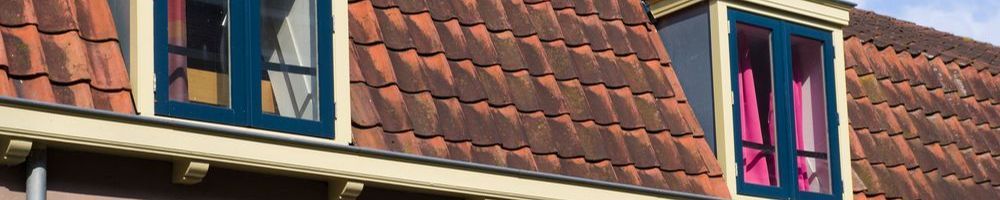 Dakrenovatie Elspeet